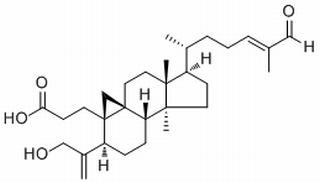 Coronalolic acid HPLC≥98%