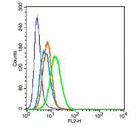 CD11c整合素αX抗体