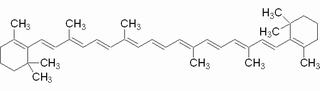 β-胡萝卜素,β-叶红素,CAS:7235-40-7