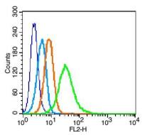 IL-2R gamma白介素2受体γ链抗体