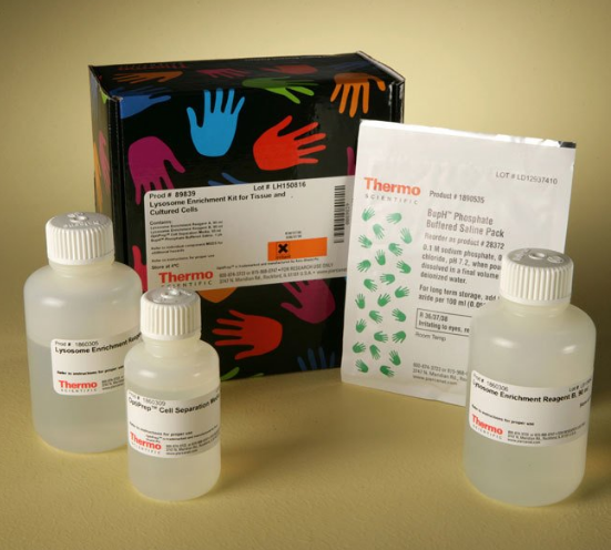 Thermo Scientific™ 89839  Lysosome Enrichment Kit for Tissues and Cultured Cells 
