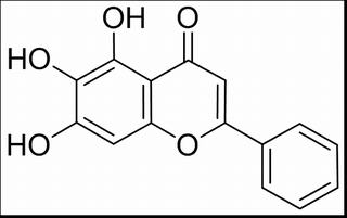 黄芩素,黄芩苷元,黄芩黄素,CAS:491-67-8