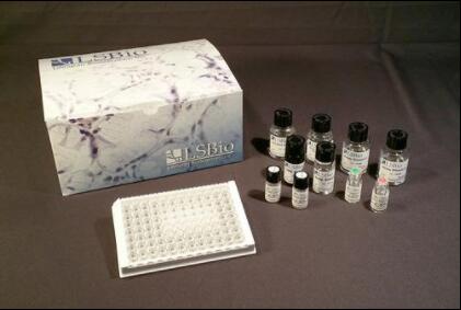 Mouse ANG2 / Angiogenin 2 ELISA Kit (Custom ELISA) - LS-F17511