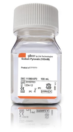 Sodium Pyruvate 100 mM Solution  11360070