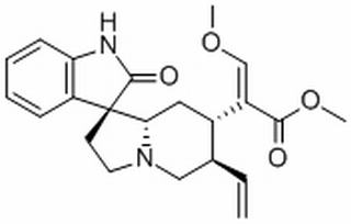 异去氢钩藤碱;异柯诺辛因碱 CAS:51014-29-0