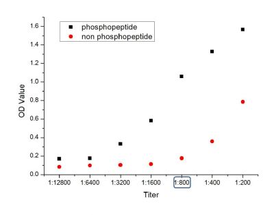 phospho-Bax (Ser184)磷酸化Bax抗体