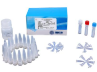 磷酸化蛋白提取试剂盒