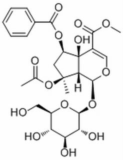6-O-Benzoylphlorigidoside B HPLC≥98%
