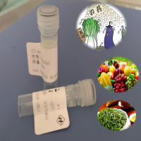 烯啶虫胺抗原 烯啶虫胺全抗原 烯啶虫胺人工抗原