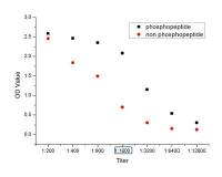 Phospho-PPAR Gamma (ser112)磷酸化过氧化酶活化增生受体γ抗体