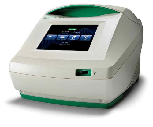T100伯乐PCR仪现货