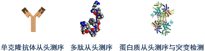 <暑期冰点价>从头测序（抗体+多肽+蛋白质）