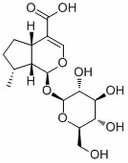 8-Epideoxyloganic acid HPLC≥98%