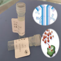 HRP-SPA辣根过氧化物酶-葡萄球菌A蛋白偶联物