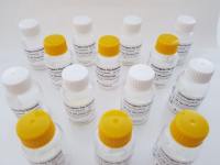 5-FLUOR-FIXa–Fluorogenic Substrate for FIXa