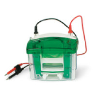 Mini-PROTEAN® Tetra Cell 小型垂直电泳槽