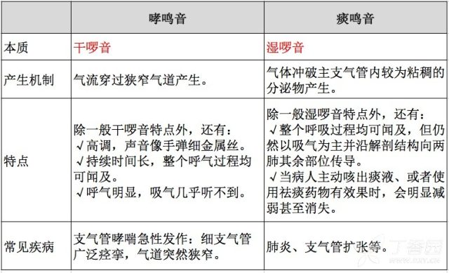 听诊进阶就看这篇