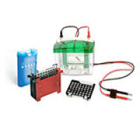 Mini Trans-Blot Electrophoretic Transfer Cell 小型 Trans-Blot 转印槽(湿转)