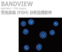 BandView 成像分析工作站