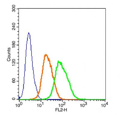 CD133造血干细胞抗原CD133抗体