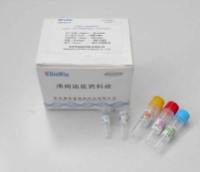 D2000 DNA Ladder Marker