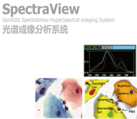 SpectraView光谱成像分析系统