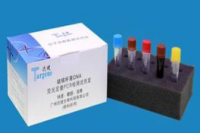 植物磷酸烯醇式丙酮酸羧化酶(PEPC)检测试剂盒