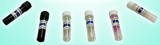 液体亚硝酸盐检测试剂盒（荧光法）