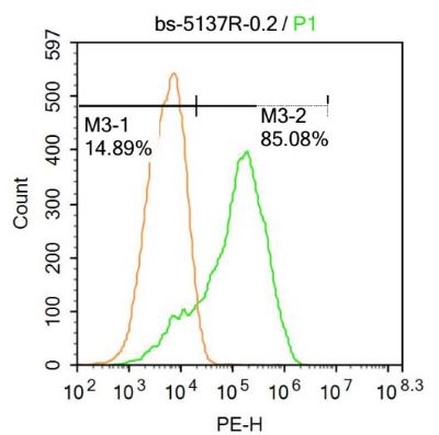 TFEB T淋巴细胞转录调节因子TFEB抗体