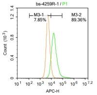 APH1a早老素γ分泌酶抗体