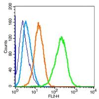 Phospho-eIF2 alpha(Ser51)磷酸化真核启动因子2α抗体