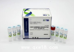 人钙蛋白酶1（Calpain 1）抑制剂筛选试剂盒