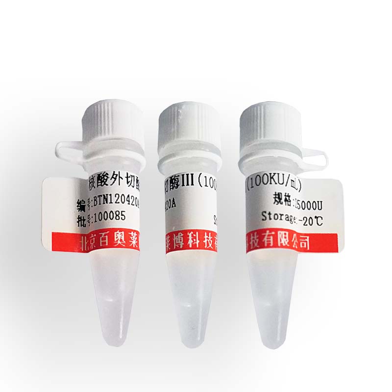 细胞膜红色荧光探针(DiI)试剂盒