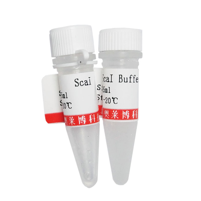 RNase A (10mg/ml)试剂盒