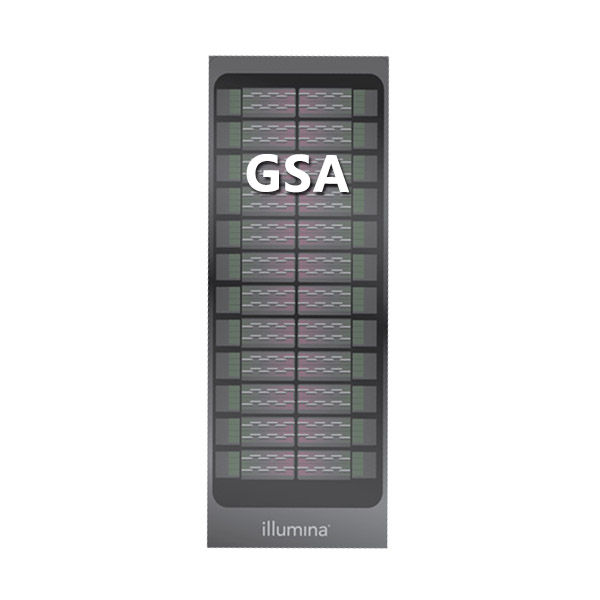 Illumina GSA芯片 (Global Screening Array) 检测服务