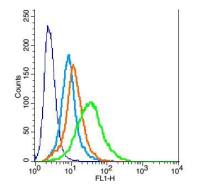 PPAP2A磷酸脂磷酸水解酶1抗体