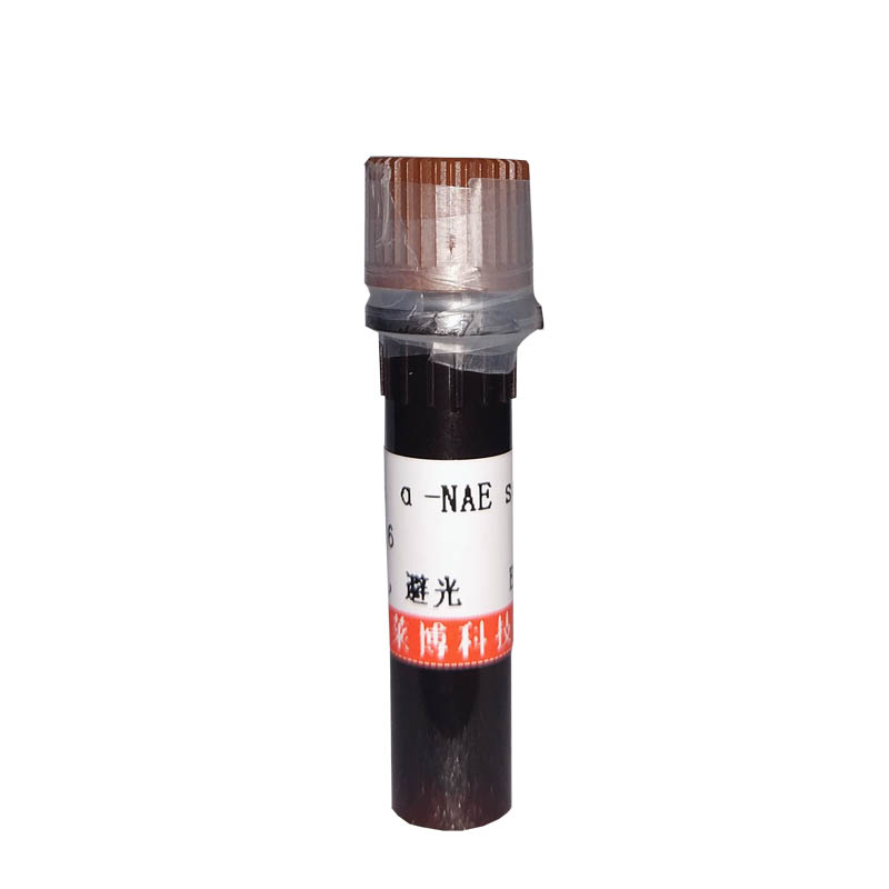Mallory磷钨酸苏木素染色液(PTAH化学氧化法)试剂盒