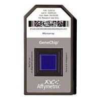 Affymetrix SNP Array 6.0