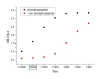 phospho-CD32B(Tyr292)磷酸化CD32B抗体