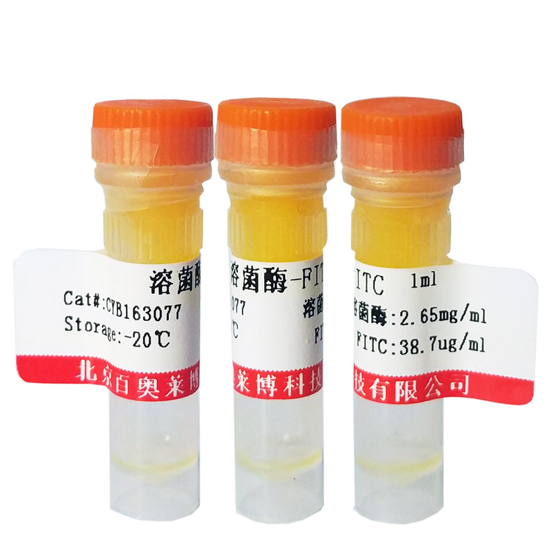 Ammonium persulfate(APS)试剂盒