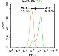 ASC凋亡相关斑点样蛋白ASC抗体