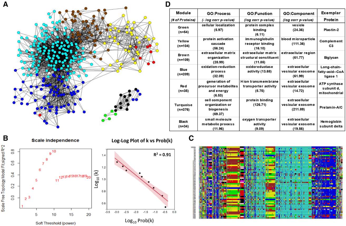  文献解读：一篇IF=18.880的神文——人冠状动脉粥样硬化的蛋白质组学研究