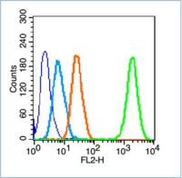 Bone Alkaline Phosphatase骨碱性磷酸酶抗体
