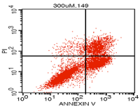 细胞凋亡检测/流式法