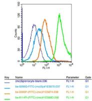 TUSC1肺癌抑癌蛋白1抗体