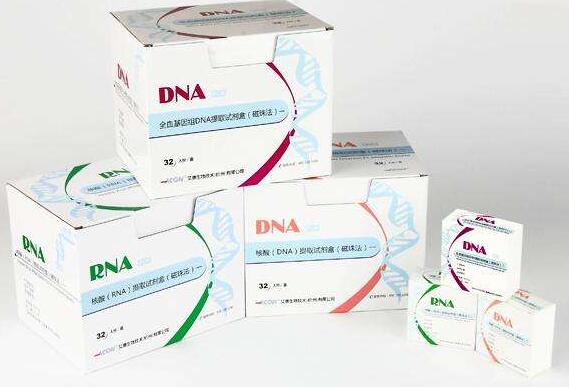 苏丹红III染色试剂盒