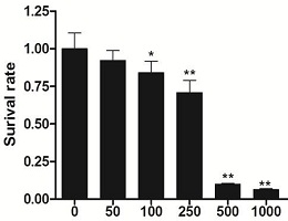 细胞增殖实验\/CCK8