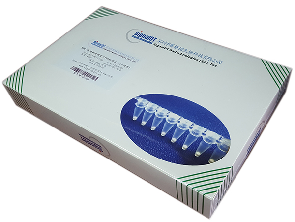 LyoDt®沙门氏菌干燥型荧光PCR检测试剂