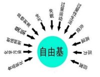 抗氧化/自由基检测