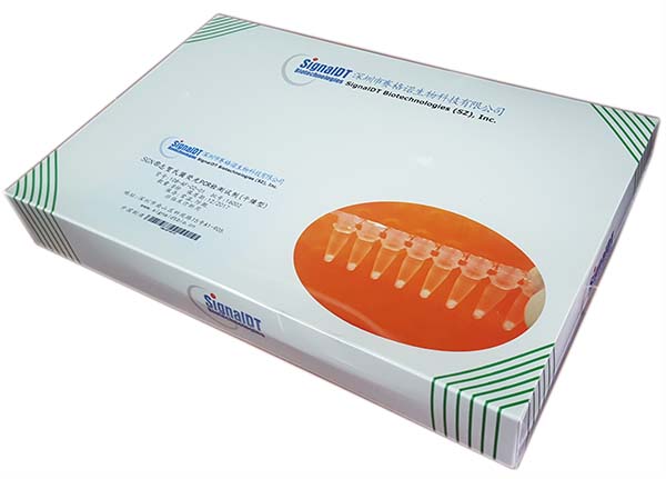 LyoDt®诺如病毒G1/G2型干燥型荧光RT-PCR检测试剂